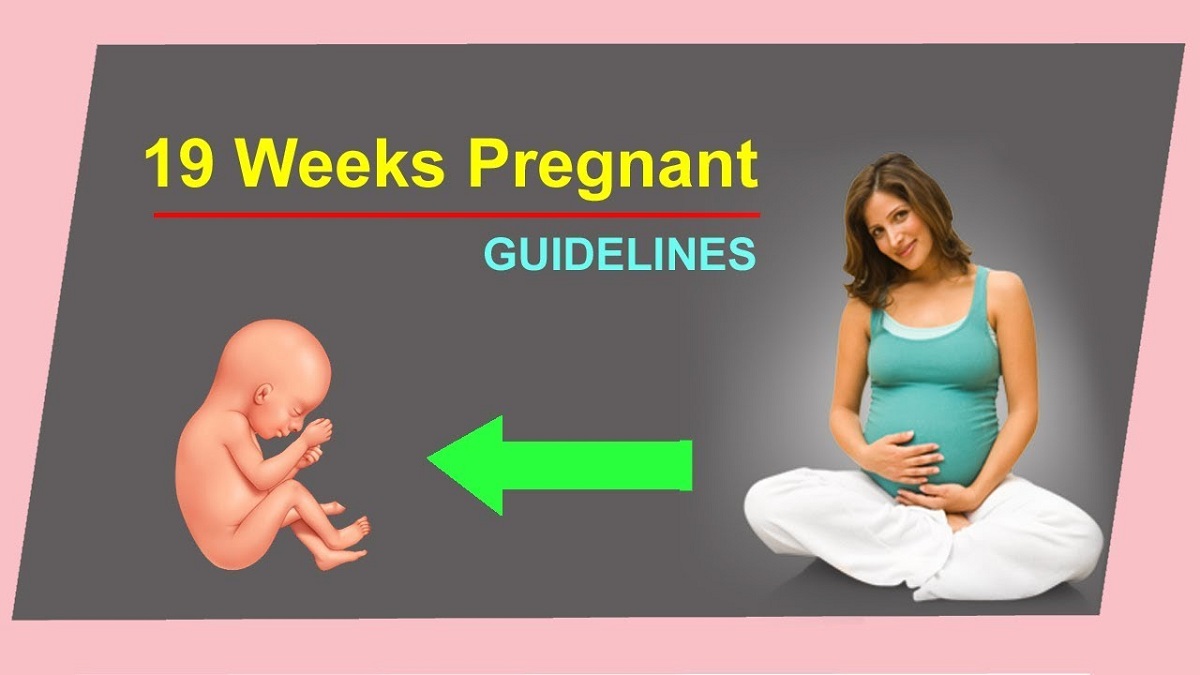 kehamilan-19-minggu