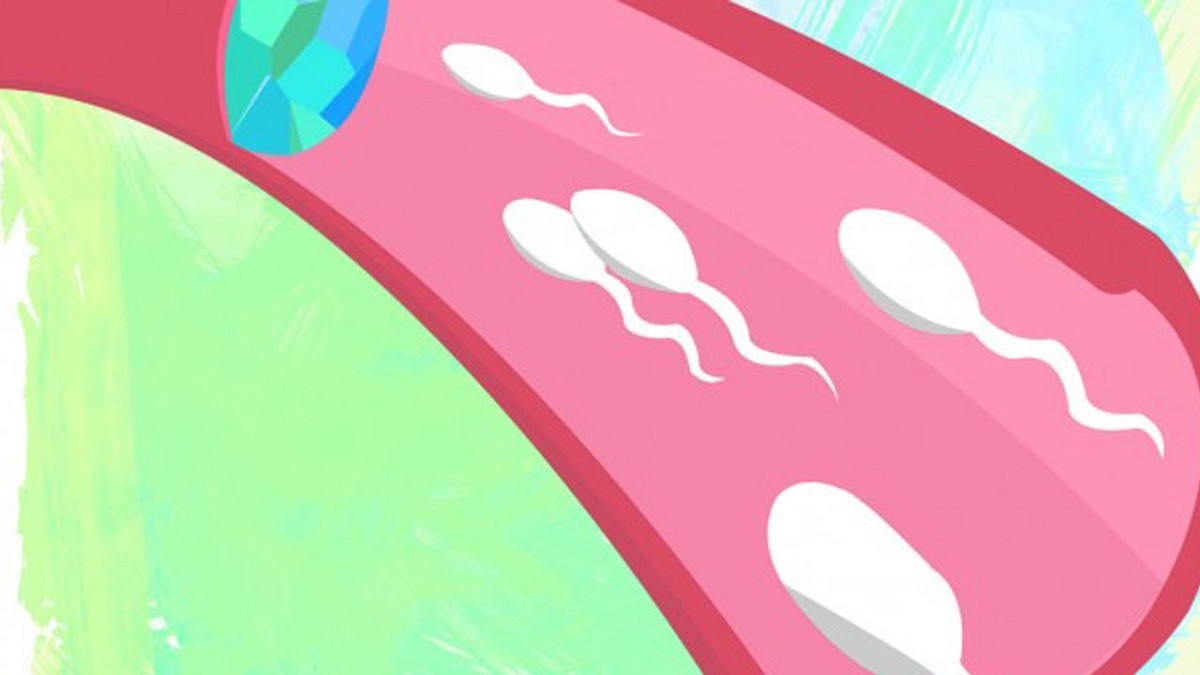 spermisida